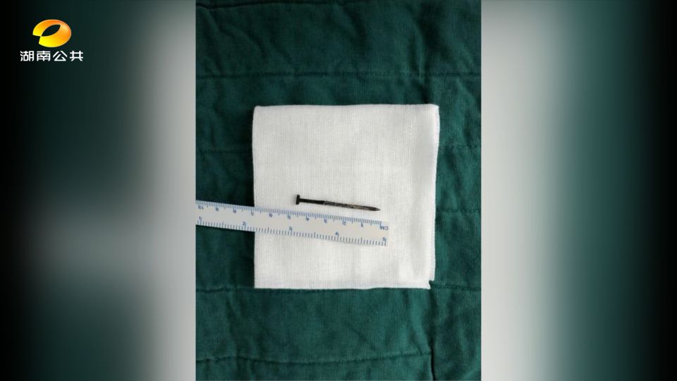 丁丁历险记一年级下册,丁丁历险记少年版