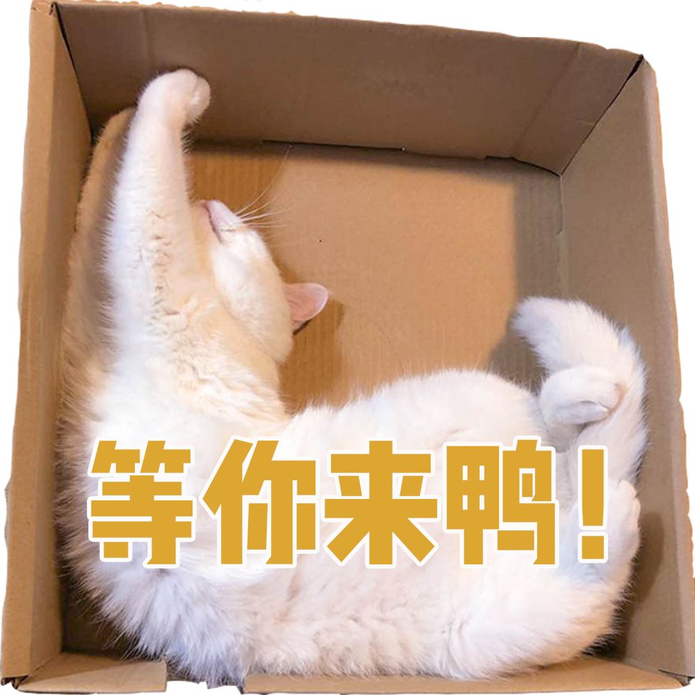 招聘全职岗位|简单心理有一份offer想和你谈谈