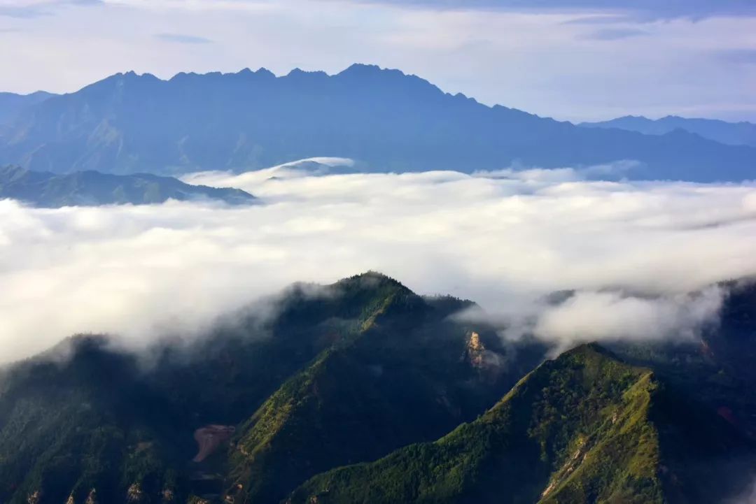 【慢城·关注】保护秦岭│蓝小宣带你探秘秦岭蓝田段“绿色宝库”（三）
