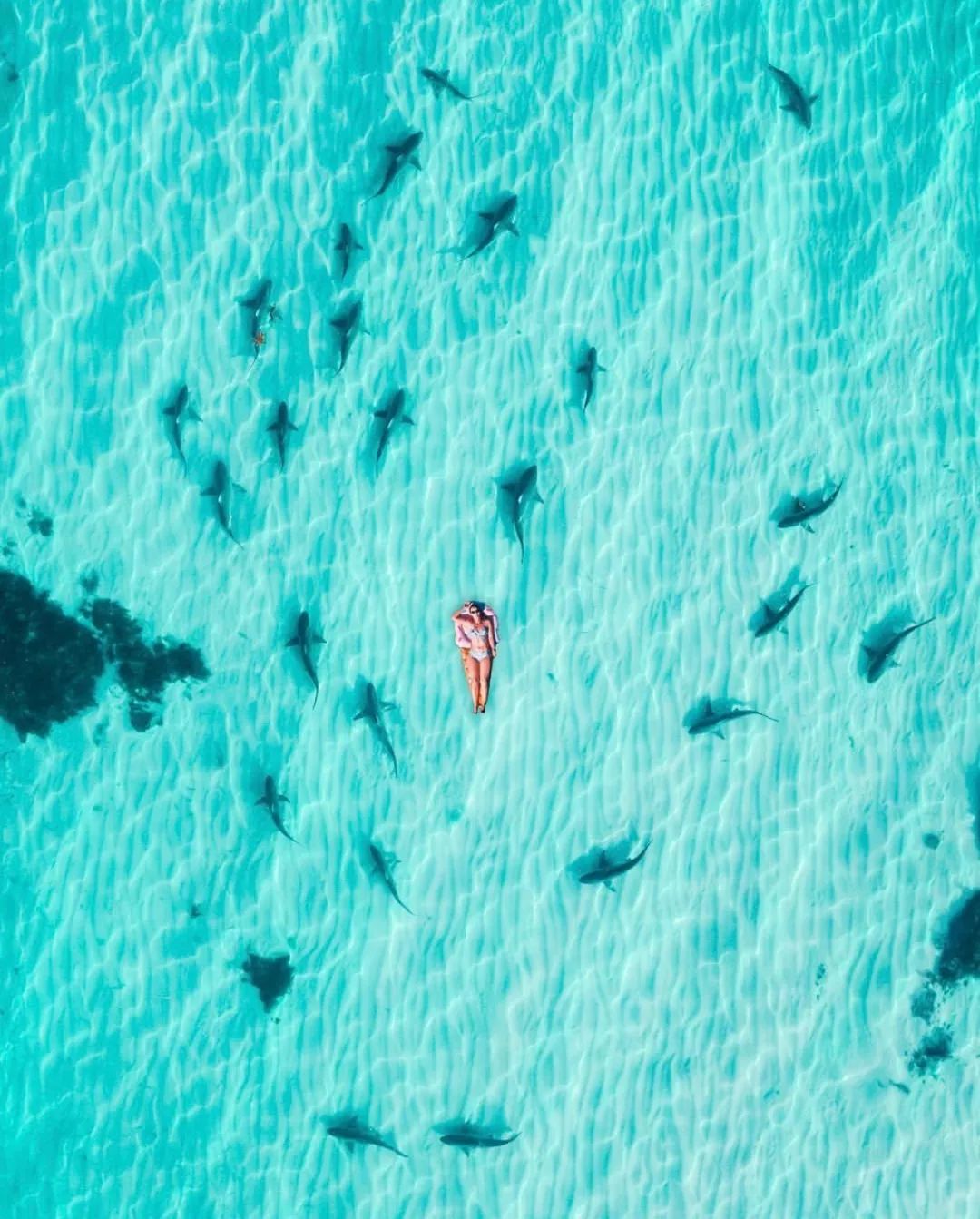 如何在旅行中省钱买到便宜的机票,旅行达人教你如何购买超低价机票