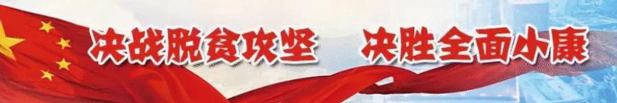 崆峒区发布公告,崆峒区2024年项目公示