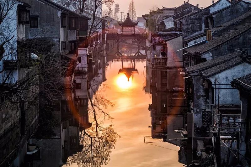 七月寻凉首选地！离上海车程仅1.5h，藏着座解暑小城！赏花赏水更赏情，藏着让人静下来的神奇魔力