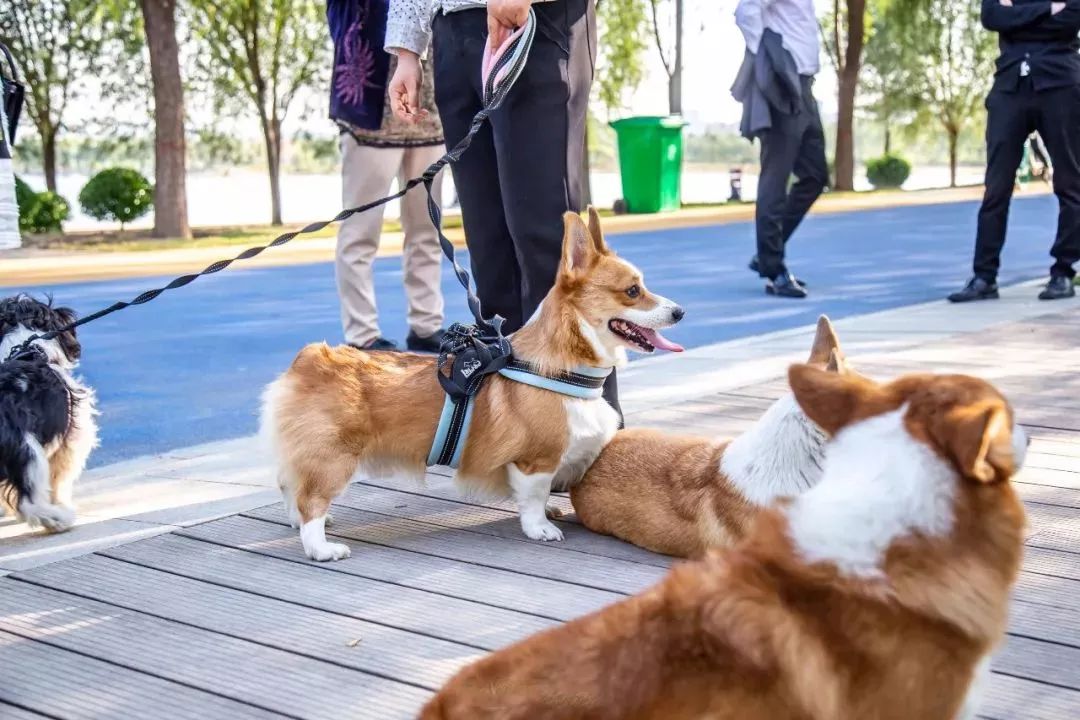 郑州适合骑车去玩的地方,郑州周边适合骑行的公园