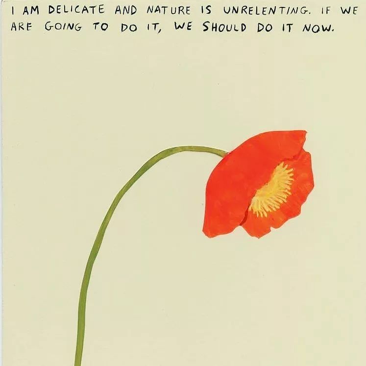 鞋子不够袜子来凑原作者,长度不够袜子来凑