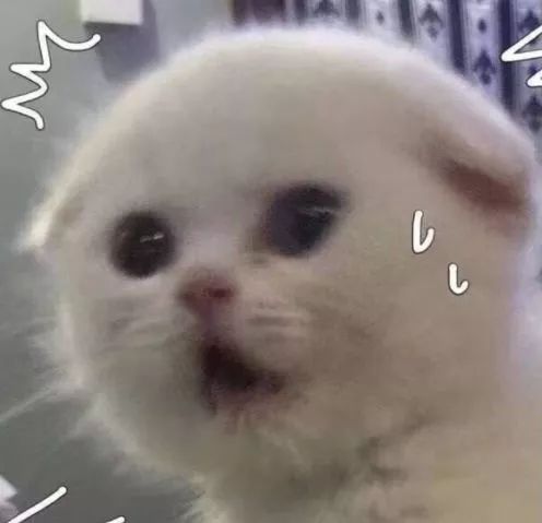 跟着女明星一起吃减脂餐,跟着女明星喝胶原蛋白