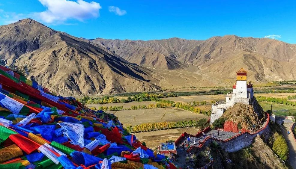 起风了小幸运哪个颜色好看,起风了分享感悟