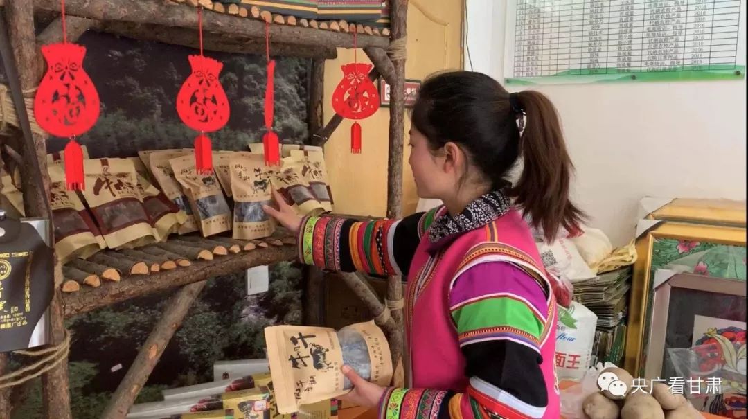 陇南文县碧口白马民俗文化旅游节,2018年文县白马艺术节举行时间