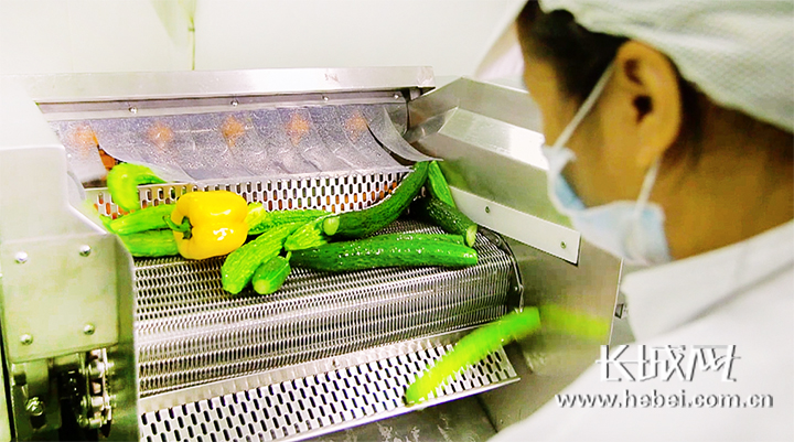 河北省新发地未来怎么规划,新发地市场里的商机