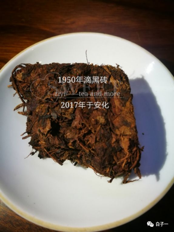 「子一茶课堂」茶里的黄片到底是什么？
