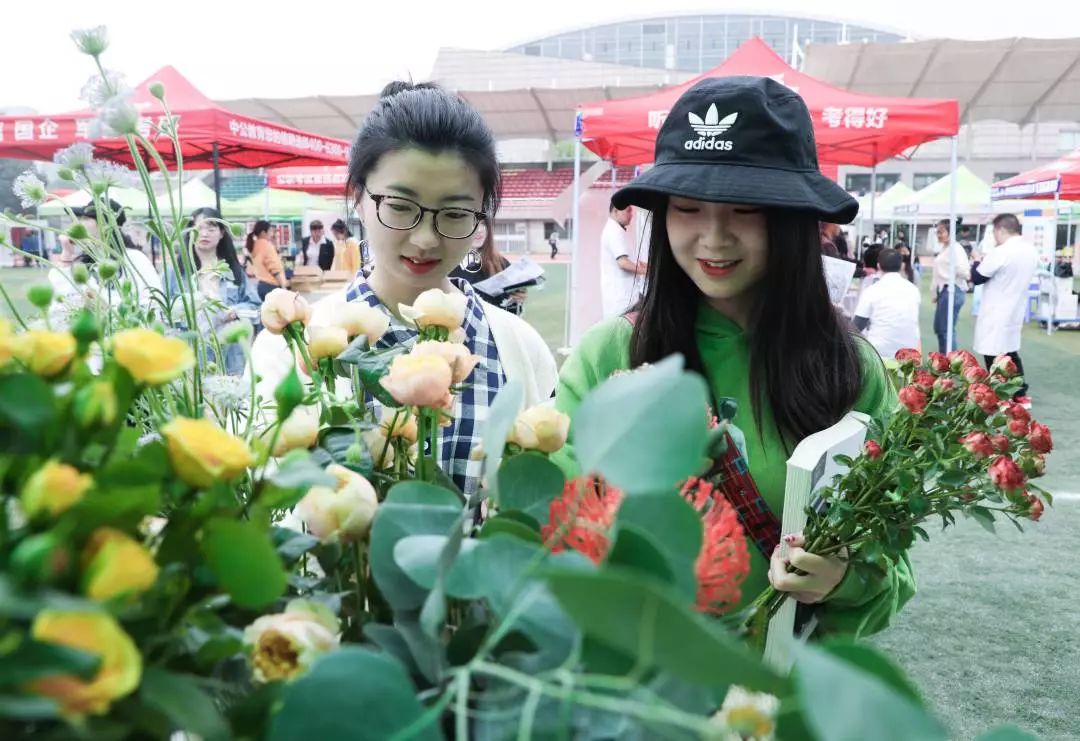 有了白天的忙碌才有夜间的休憩,大学选修课在白天么