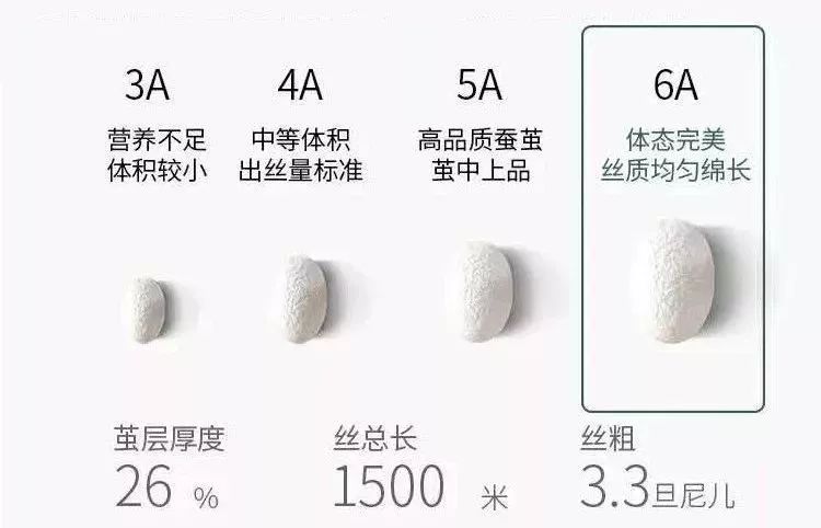 桑蚕丝裤好穿不,蚕丝裤100%桑蚕丝内穿