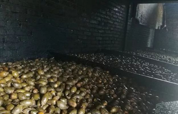 软性毒品卖出千亿帝国,销售有毒有害食品一百万