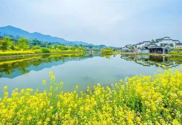 这家扎根在花海的悦榕庄即将迎来暖意春天！千元直降还含SPA,高铁1.5h!