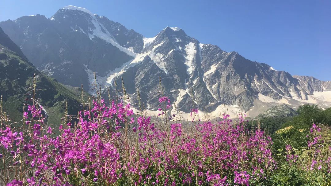 欧洲最高峰乞力马扎罗 (欧洲最高峰厄尔布鲁士峰)