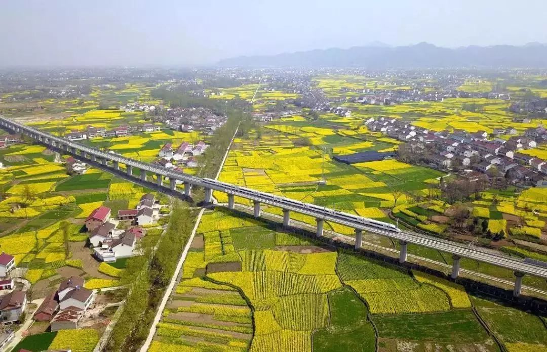 汉中最美油菜花节开幕,汉中油菜花节开幕式视频2020