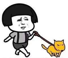 又是遛狗不牵绳！泰迪起身走了两步吓得老人摔成9级伤残，狗主人被判赔20万！