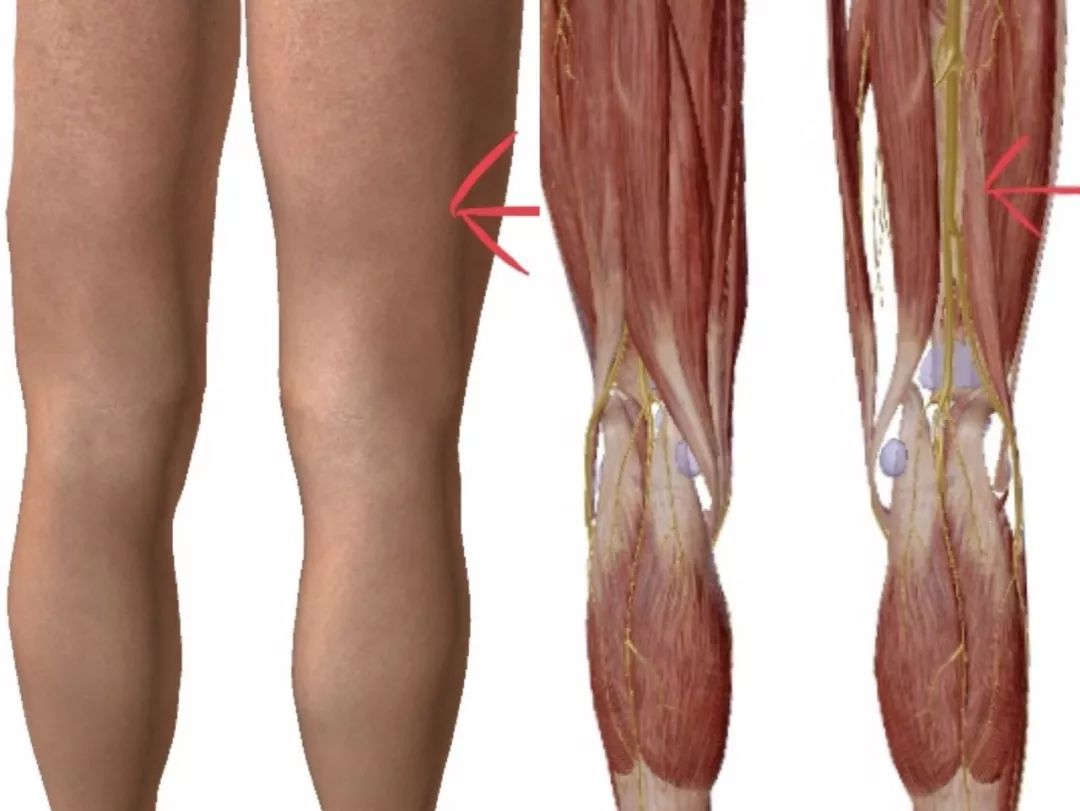 牙科神经阻滞打一针多少钱,神经阻滞针打一针和打三针的区别