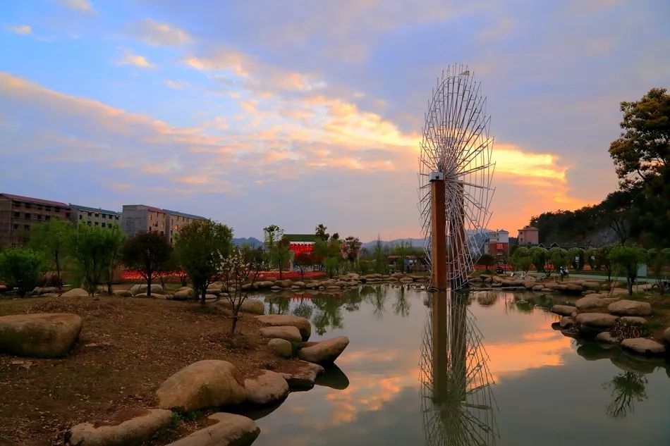 开心谷、马畈乐园、花间乐园……义乌“网红景点”因为这个问题无一幸免