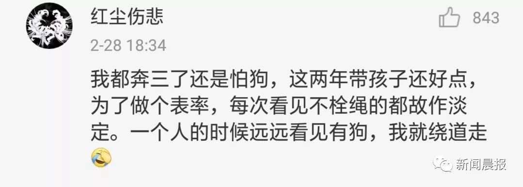 又是遛狗不牵绳！泰迪起身走了两步吓得老人摔成9级伤残，狗主人被判赔20万！