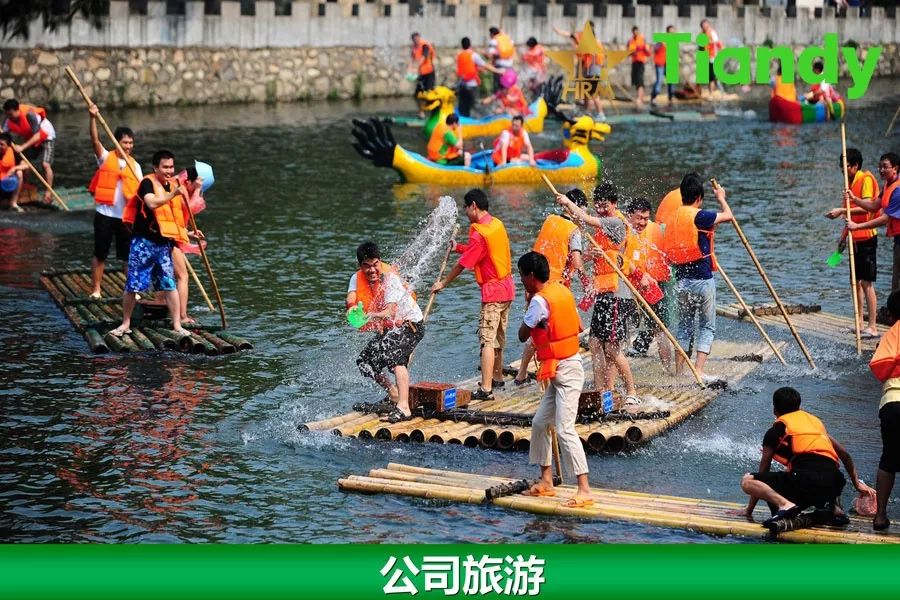 天地伟业安防品牌,安防行业天地伟业