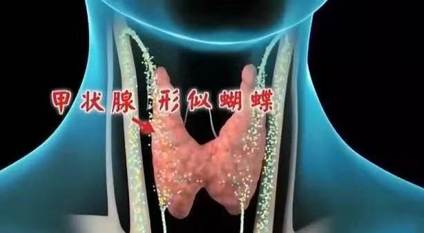 口干口渴喝水多尿也多是什么原因,口干口咸老想喝水是什么原因