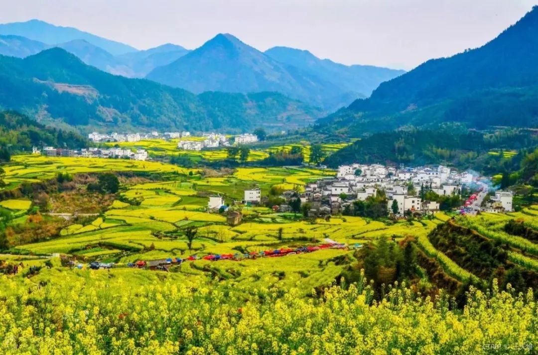 江西婺源写生基地一览花海酒店,来婺源住哪里好