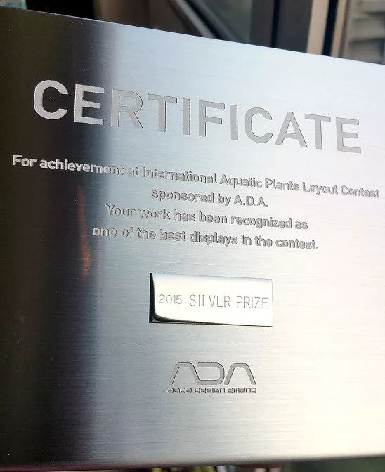 ada2021造景大赛第一名高清图,22年ada造景大赛