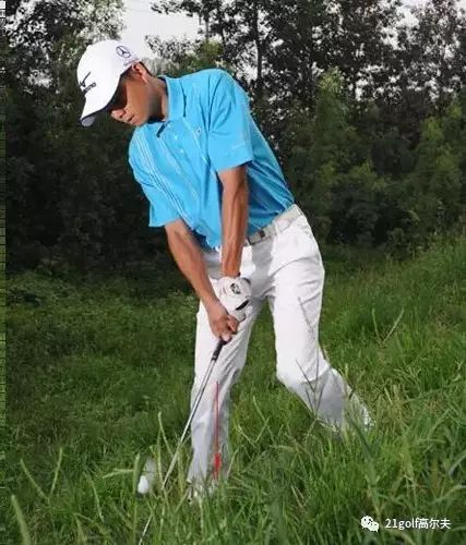 长草区教学,长草区攻略大全