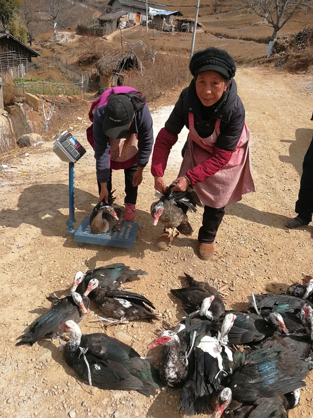 扶贫进行时——从“三大新变化”看成都病犯监狱扶贫之路