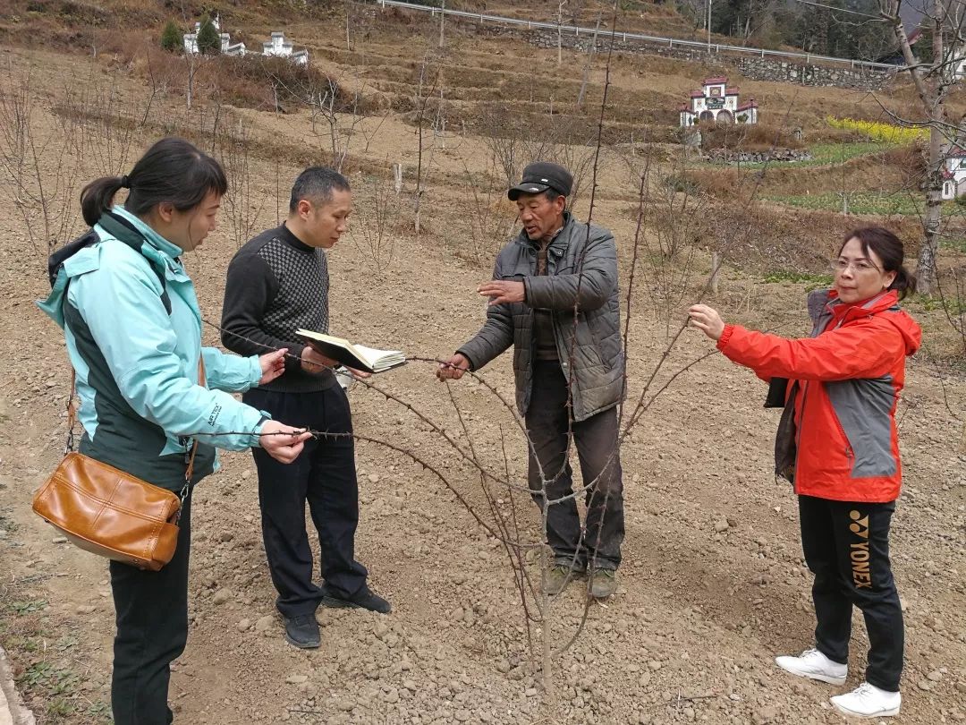 扶贫进行时——从“三大新变化”看成都病犯监狱扶贫之路