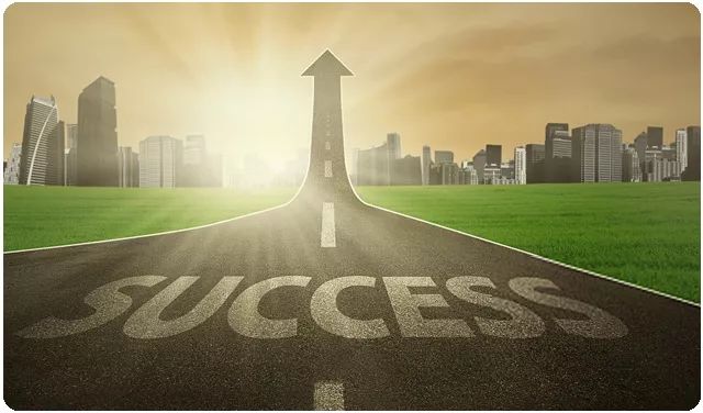 橄榄生长省份,橄榄生长在土里么