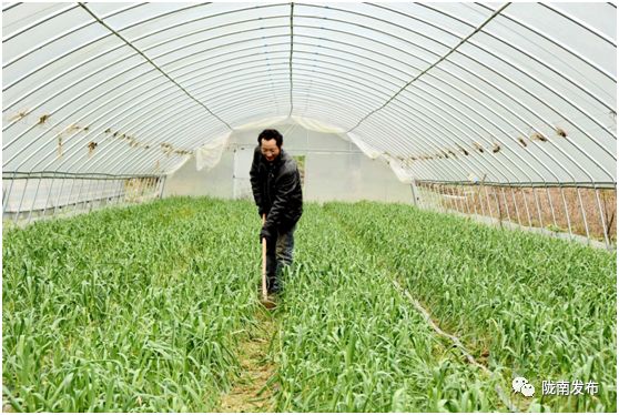 陇南已实现移动5g网络城区全覆盖,陇南5g