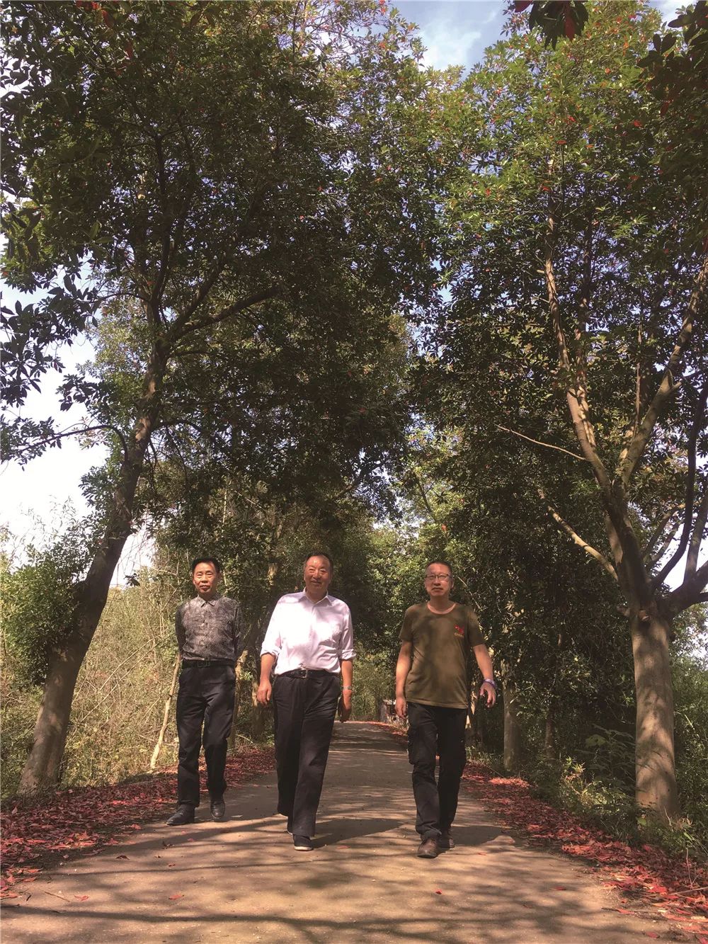 陈天生电影,陈天生漳平拱桥乡