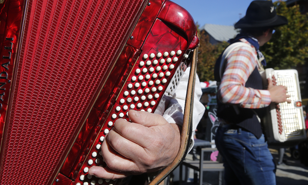 学生新手入门最简单的音乐乐器,成人零基础学什么乐器好入门