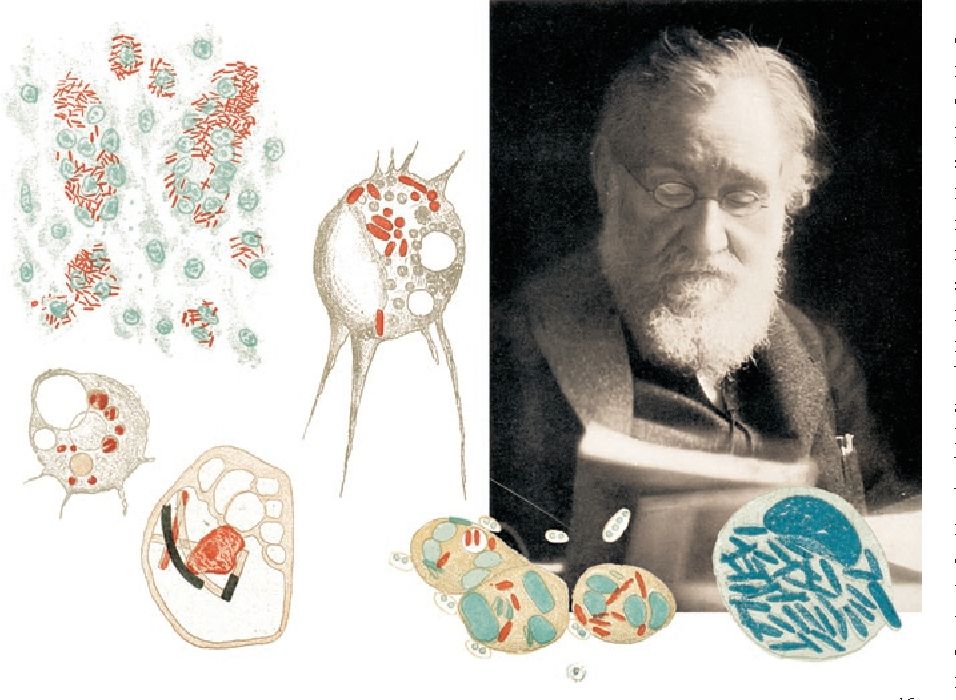 科普|这种细菌居然对人体有益？