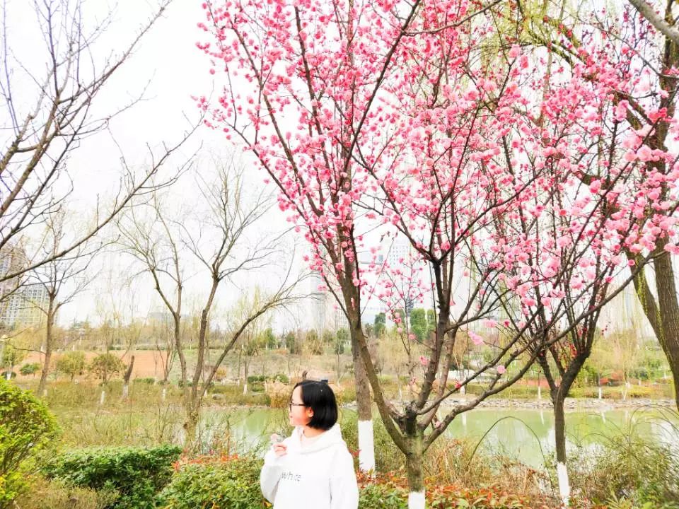 缁忓吀鎴愯瑙ｉ攣,鍏充簬鎴愯瑙ｉ攣