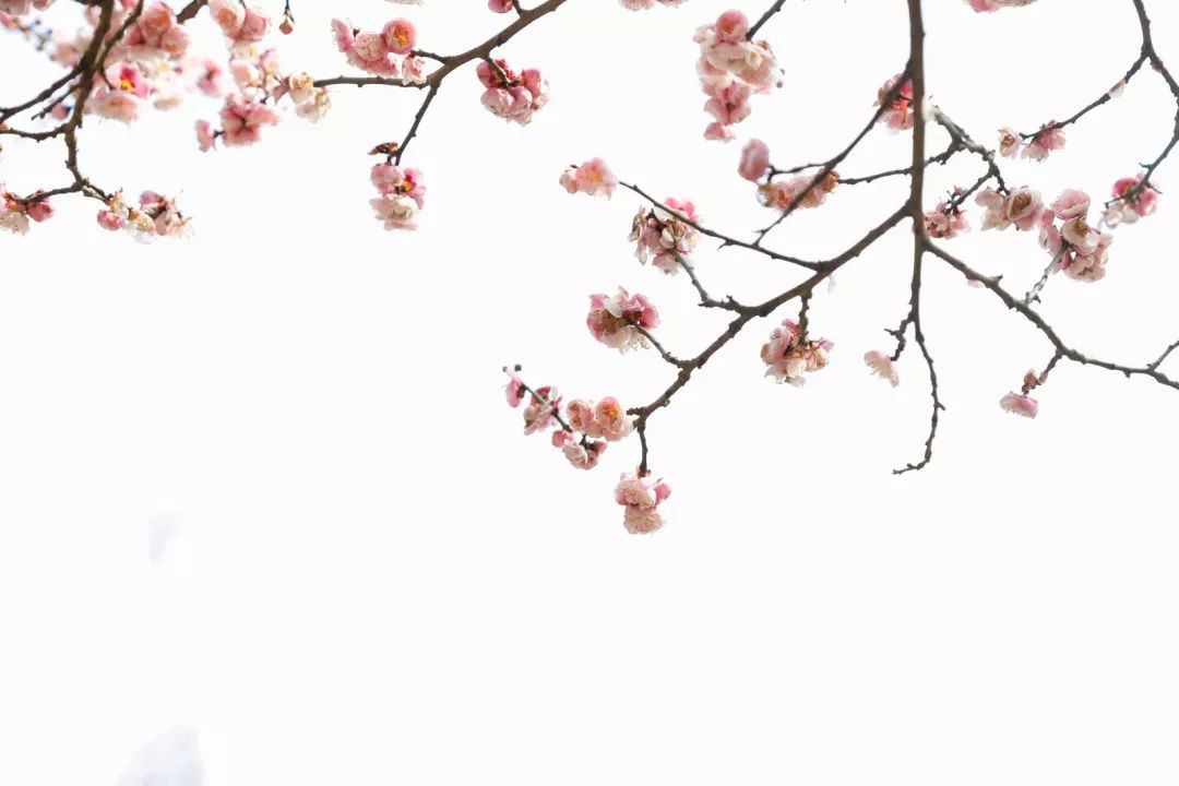 腾讯、联通、新东方都准备来华师“抢人”，本周就业讲座通知汇总，赶紧安排一下！