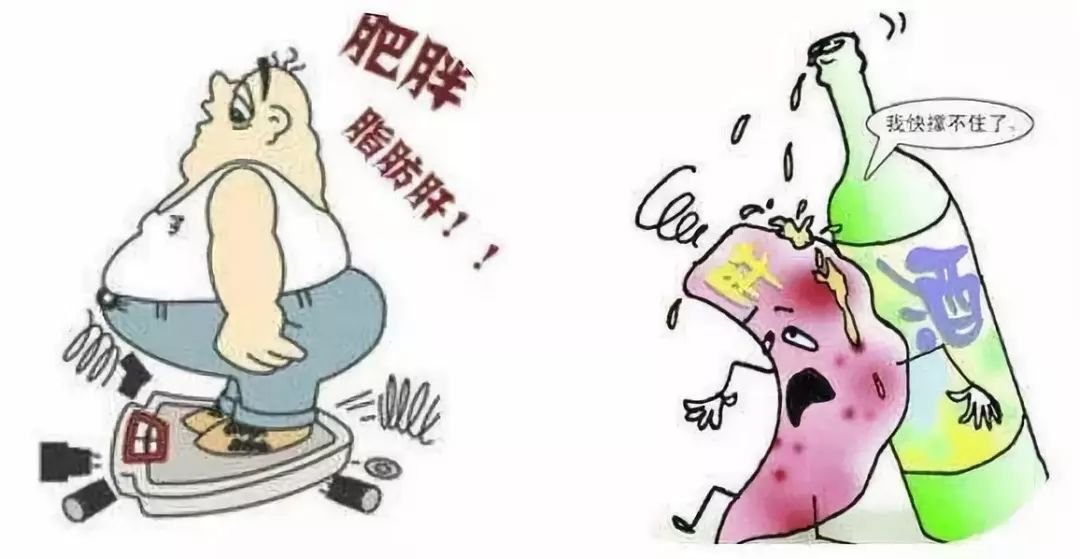 小心肝护肝茶有用吗,小心肝茶叶是什么茶