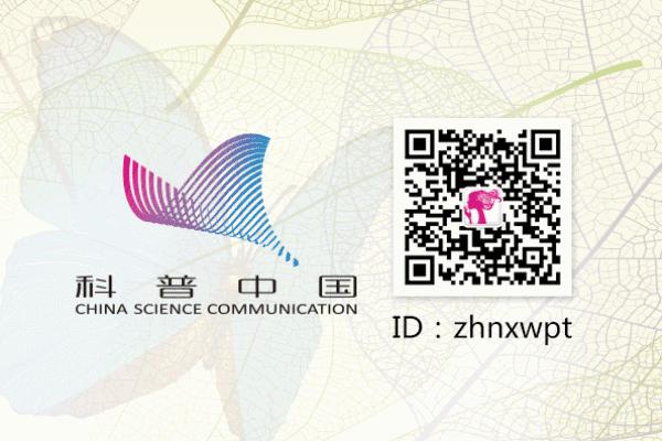 大牌子化妆品导致毁容,当心这些化妆品不合规赶紧自查