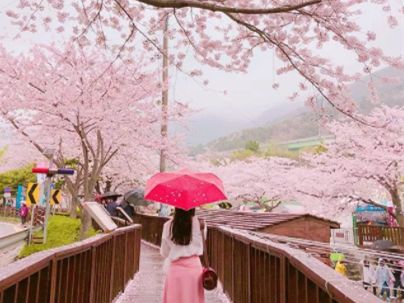 “胜利门”牵出另一宗悬案:9年前的江南区刑警自杀之谜...