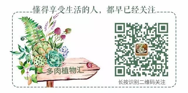 据说最为齐全的30种多肉常用土壤的资料及20种配土方案，不会配土的可以做个参考