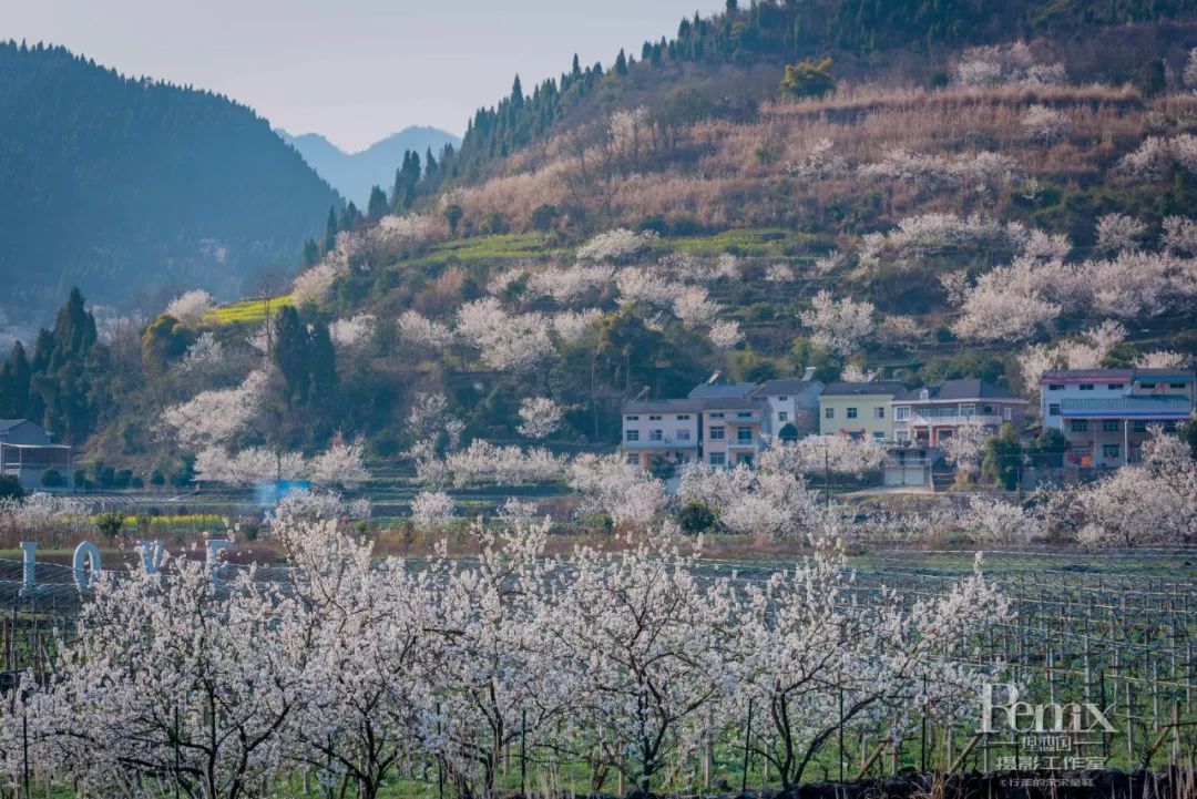 就业实习机会,千个大学生暑期实习岗位等你来