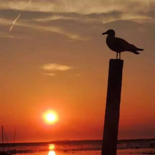 喝茶的人为啥要去品茶啊,喝茶的人为什么要买好多器具