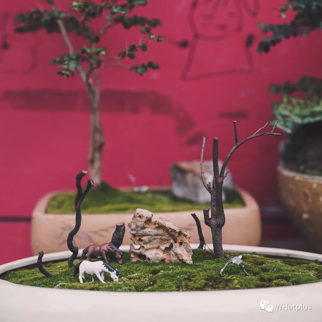 90年代稀有的老物件,上世纪消失的老物件