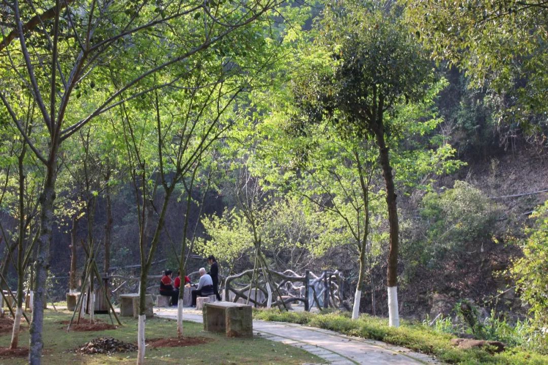 适合踏春的景点厦门,厦门春季旅游攻略