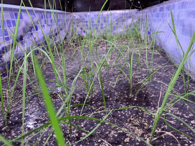 这大概是全世界最无聊的人了