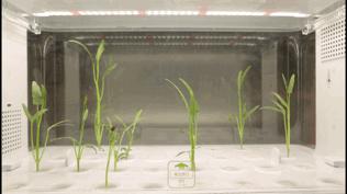 这大概是全世界最无聊的人了