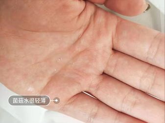 鍚冪硸闀跨棙鍙橀粦,鍚冪硸鍙橀粦闀跨棙