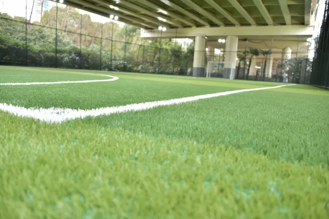 新虹桥中心花园怎么样,上海新虹桥中心花园有跑道吗