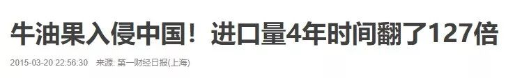 牛油果有关词语,牛油果的营销词汇